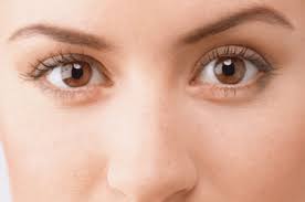 The only way to achieve effective results with castor oil is to use it every night religiously. Eyelash Grow Do Eyelashes Grow Back If Cut How Long It Will Take