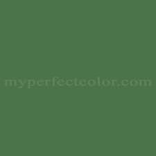 Behr Mq4 49 Emerald Forest Precisely