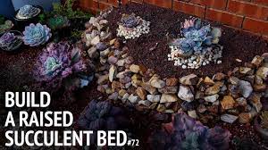72 how to build a raised succulent bed