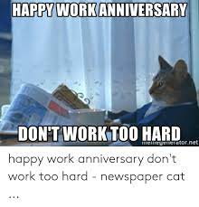Anniversary memegeneratornei happy anniversary wedding. Happy Work Anniversary Cat Meme Page 2 Line 17qq Com
