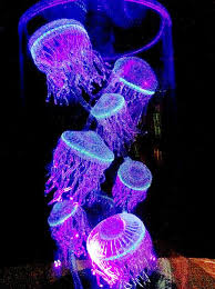 Image result for bioillumination jellyfish
