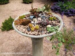 Birdbath Planter Ideas For Your Garden