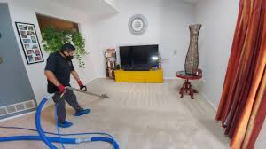 steam carpet cleaning summit nj