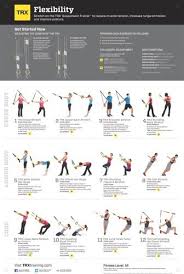 trx exercise chart flexibility
