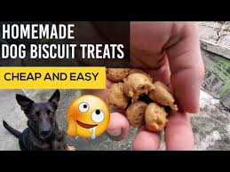 homemade dog biscuit treats and