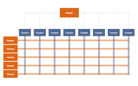 Matrix Org Chart Template 1 Organizational Chart