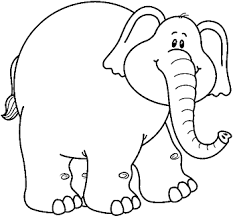 gajah s putih mamalia png