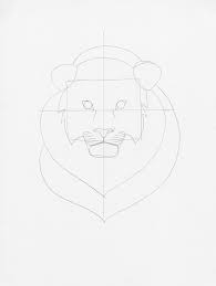 learn how to draw a lion head with this