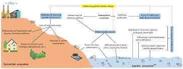 plastic pollution on ecosystem services