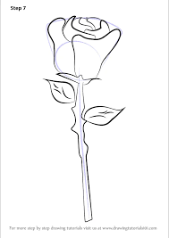 how to draw a rose easy rose step by