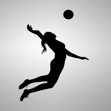 Volleyball Wall Decal Sticker Bedroom ...