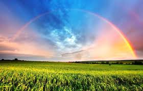 A prose poem and a rhyming poem. Crossing The Rainbow Bridge Guideposts