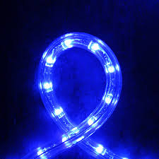 Dimmable Blue Led Rope Light Indoor Outdoor Aqlighting