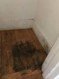 mold hiding under your wooden flooring