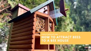 How To Attract Bees To A Bee House