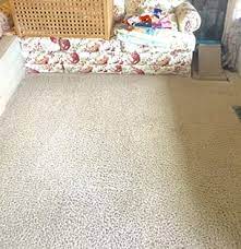 kent carpet cleaning power pup clean