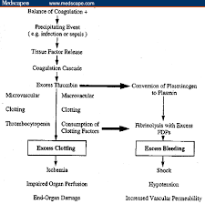 Pathology Outlines Disseminated Intravascular Coagulation