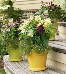 Container Gardening Flower Pots