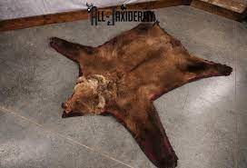 grizzly bear rug sku 2656 all taxidermy