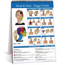 Neck Trigger Point Chart Related Keywords Suggestions