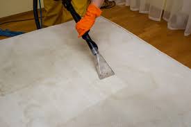 mattress cleaning premier carpet