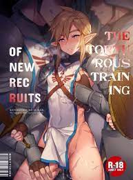 The Torturous Training of New Recruits – The Legend of Zelda Gay Hentai  Manga - Hentai18