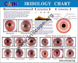 Eye Reflexology Chart 10 Pcs Free Downlaod Iriscope