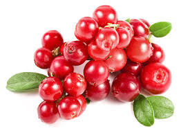 Image result for Cranberries