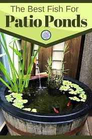Container Water Gardens Patio Pond