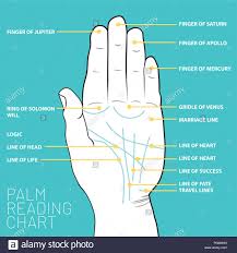 The Art Of Palmistry Stock Photos The Art Of Palmistry
