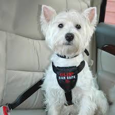 Clix Carsafe Dog Car Safety Harness