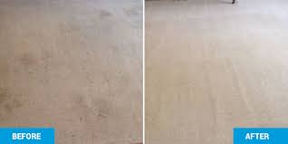carpet cleaning in raleigh nc stero