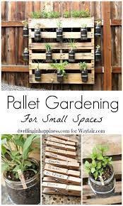 How To Pallet Gardening For Small Spaces