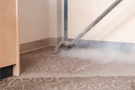 carpet steam cleaning bankstown s