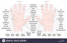 Hand Reflexology Zone Massage Chart With Areas And Names Of
