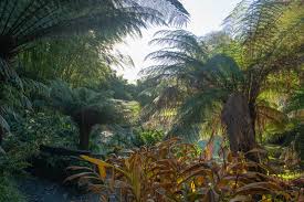 11 Tropical Garden Ideas For The Uk