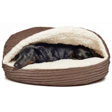 Check spelling or type a new query. Corduroy Dog Bed Wayfair
