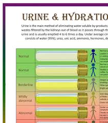 Urine Hydration Analysis Chart Bristol Stool Form Scale