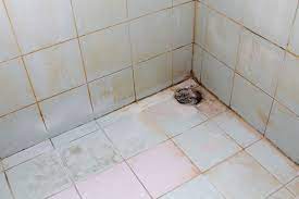 Mold Behind Shower Tiles