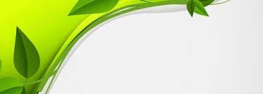 green banner vector art icons and