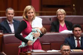 australian senator tfed while
