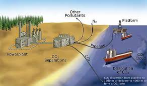 carbon sequestration in the ocean