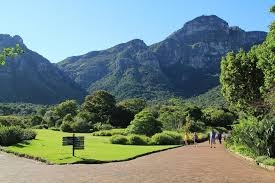 full day city kirstenbosch gardens