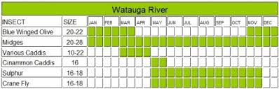 Watauga River Fly Fishing