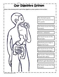Free digestive system activities and classroom resources! Digestive System Worksheet Worksheets