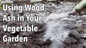 using wood ash in your vegetable garden