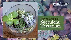 How To Create A Succulent Terrarium
