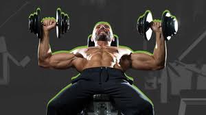 chest exercises for building muscle