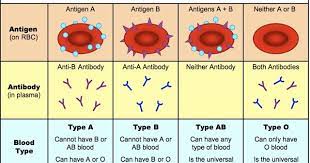 blood group the abo system
