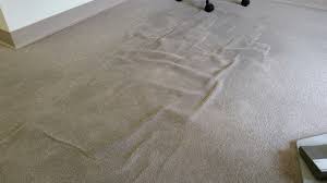 Three Ways to Wreck Your Carpet - Advanced Dry Carpet and Upholstery  Cleaning, Petaluma CA